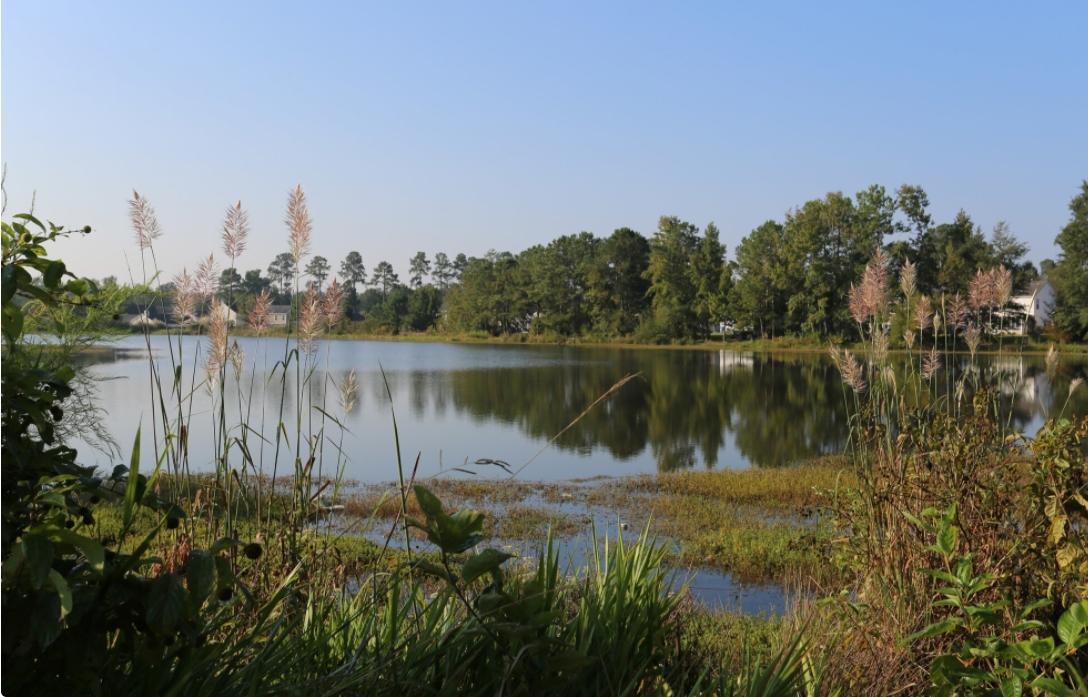 Beautiful lake grounds at Austin Woods Apartments, located in Columbia, SC