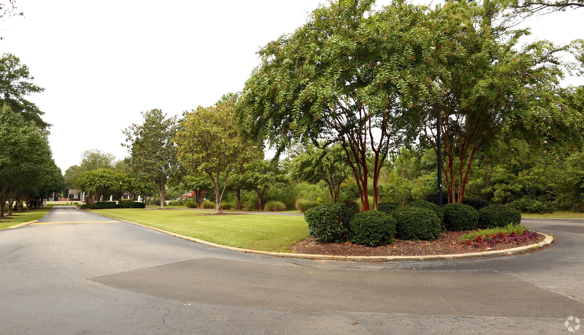 Beautifully landscaped grounds at Austin Woods Apartments, located in Columbia, SC